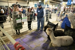 Senator Lindsey M. Williams and staff attend the 2020 Pennsylvania Farm Show.
