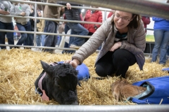 Senator Lindsey M. Williams and staff attend the 2020 Pennsylvania Farm Show.