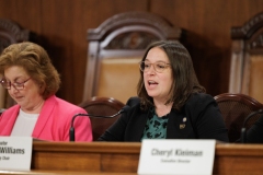 Acting Secretary of Education Carrie Rowe Confirmation Hearing