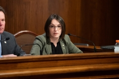 February 21. 2019: Senator Lindsey Williams attends Budget Appropriations Hearing with the PA Emergency Management Agency/Fire Commissioner.