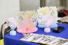 October 17, 2019, Senator Lindsey Williams hosts a Community Baby Shower. This event provided resources for expecting parents, new parents, grandparents, foster parents, and guardians.
