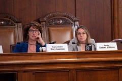 Basic Ed Funding Commission Hearing