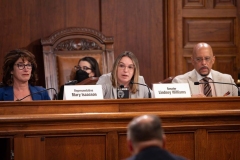 Basic Ed Funding Commission Hearing