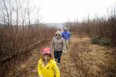 March 7, 2022:  Senator Lindsey Williams attends the Senate Game & Fisheries Committee 2022 Legislative Bear Research Trip. These photos were taken during a research trip under the supervision of trained wildlife experts. Members of the public should not encroach on bear territory or attempt to interact with bears or bear cubs on their own.