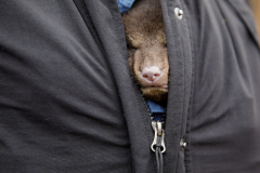 March 7, 2022:  Senator Lindsey Williams attends the Senate Game & Fisheries Committee 2022 Legislative Bear Research Trip. These photos were taken during a research trip under the supervision of trained wildlife experts. Members of the public should not encroach on bear territory or attempt to interact with bears or bear cubs on their own.