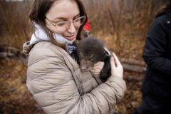 March 7, 2022:  Senator Lindsey Williams attends the Senate Game & Fisheries Committee 2022 Legislative Bear Research Trip. These photos were taken during a research trip under the supervision of trained wildlife experts. Members of the public should not encroach on bear territory or attempt to interact with bears or bear cubs on their own.