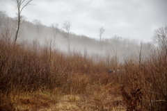 March 7, 2022:  Senator Lindsey Williams attends the Senate Game & Fisheries Committee 2022 Legislative Bear Research Trip. These photos were taken during a research trip under the supervision of trained wildlife experts. Members of the public should not encroach on bear territory or attempt to interact with bears or bear cubs on their own.