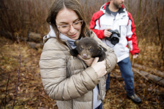 March 7, 2022:  Senator Lindsey Williams attends the Senate Game & Fisheries Committee 2022 Legislative Bear Research Trip. These photos were taken during a research trip under the supervision of trained wildlife experts. Members of the public should not encroach on bear territory or attempt to interact with bears or bear cubs on their own.