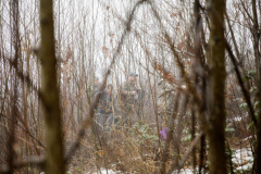 March 7, 2022:  Senator Lindsey Williams attends the Senate Game & Fisheries Committee 2022 Legislative Bear Research Trip. These photos were taken during a research trip under the supervision of trained wildlife experts. Members of the public should not encroach on bear territory or attempt to interact with bears or bear cubs on their own.