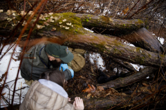 March 7, 2022:  Senator Lindsey Williams attends the Senate Game & Fisheries Committee 2022 Legislative Bear Research Trip. These photos were taken during a research trip under the supervision of trained wildlife experts. Members of the public should not encroach on bear territory or attempt to interact with bears or bear cubs on their own.