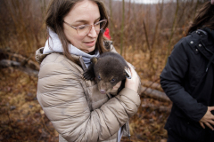 March 7, 2022:  Senator Lindsey Williams attends the Senate Game & Fisheries Committee 2022 Legislative Bear Research Trip. These photos were taken during a research trip under the supervision of trained wildlife experts. Members of the public should not encroach on bear territory or attempt to interact with bears or bear cubs on their own.