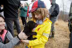 March 7, 2022:  Senator Lindsey Williams attends the Senate Game & Fisheries Committee 2022 Legislative Bear Research Trip. These photos were taken during a research trip under the supervision of trained wildlife experts. Members of the public should not encroach on bear territory or attempt to interact with bears or bear cubs on their own.