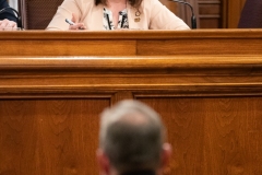 Senator Lindsey M. Williams attends the Department of Community and Economic Development Budget Appropriations Hearing