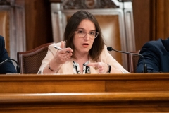 Senator Lindsey M. Williams attends the Department of Community and Economic Development Budget Appropriations Hearing