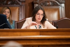 Senator Lindsey M. Williams attends the Department of Community and Economic Development Budget Appropriations Hearing
