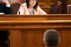 Senator Lindsey M. Williams attends the Department of Community and Economic Development Budget Appropriations Hearing