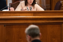 Senator Lindsey M. Williams attends the Department of Community and Economic Development Budget Appropriations Hearing