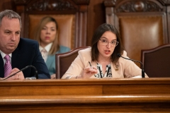 Senator Lindsey M. Williams attends the Department of Community and Economic Development Budget Appropriations Hearing