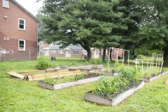 August 10, 2023: Sen. Lindsey Williams, joined by state Rep. Mandy Steele, toured several community gardens in her district yesterday.  Local volunteer Drew Jonczak explained the challenges facing urban agriculture efforts, including destructive wildlife, vandalism and an aging volunteer base.