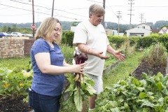 August 10, 2023: Sen. Lindsey Williams, joined by state Rep. Mandy Steele, toured several community gardens in her district yesterday.  Local volunteer Drew Jonczak explained the challenges facing urban agriculture efforts, including destructive wildlife, vandalism and an aging volunteer base.
