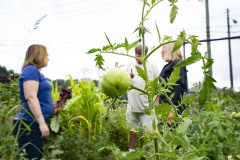 August 10, 2023: Sen. Lindsey Williams, joined by state Rep. Mandy Steele, toured several community gardens in her district yesterday.  Local volunteer Drew Jonczak explained the challenges facing urban agriculture efforts, including destructive wildlife, vandalism and an aging volunteer base.