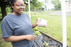 August 10, 2023: Sen. Lindsey Williams, joined by state Rep. Mandy Steele, toured several community gardens in her district yesterday.  Local volunteer Drew Jonczak explained the challenges facing urban agriculture efforts, including destructive wildlife, vandalism and an aging volunteer base.
