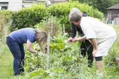 August 10, 2023: Sen. Lindsey Williams, joined by state Rep. Mandy Steele, toured several community gardens in her district yesterday.  Local volunteer Drew Jonczak explained the challenges facing urban agriculture efforts, including destructive wildlife, vandalism and an aging volunteer base.