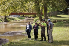 Deer Creek Streem Work