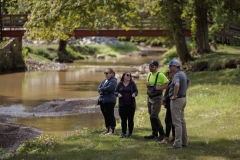 Deer Creek Streem Work