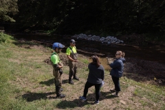 Deer Creek Streem Work