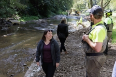 Deer Creek Streem Work