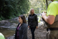 Deer Creek Streem Work