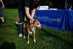 Dogs and Democracy   September 17, 2022: Senator Lindsey Williams hosts a Dogs and Democracy Event. Participants brought their pups and met with Senator Williams to chat about Victoria’s Law (SB 234) and other animal welfare legislation.