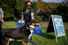 Dogs and Democracy   September 17, 2022: Senator Lindsey Williams hosts a Dogs and Democracy Event. Participants brought their pups and met with Senator Williams to chat about Victoria’s Law (SB 234) and other animal welfare legislation.