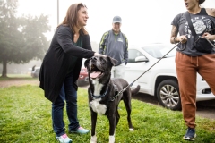 Dogs and Democracy   September 17, 2022: Senator Lindsey Williams hosts a Dogs and Democracy Event. Participants brought their pups and met with Senator Williams to chat about Victoria’s Law (SB 234) and other animal welfare legislation.
