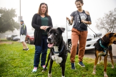 Dogs and Democracy   September 17, 2022: Senator Lindsey Williams hosts a Dogs and Democracy Event. Participants brought their pups and met with Senator Williams to chat about Victoria’s Law (SB 234) and other animal welfare legislation.