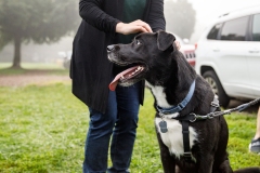 Dogs and Democracy   September 17, 2022: Senator Lindsey Williams hosts a Dogs and Democracy Event. Participants brought their pups and met with Senator Williams to chat about Victoria’s Law (SB 234) and other animal welfare legislation.
