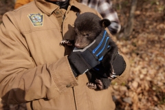Legislative Bear Trip