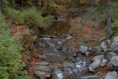 McCahill Park
