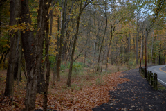 McCahill Park