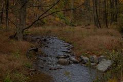 McCahill Park