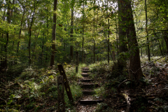 October 2, 2021: Senator Williams hosted a Nature Walk at the Latodami Nature Center in North Park for a conversation with the North Park Naturalists, and Allegheny County Park Rangers.