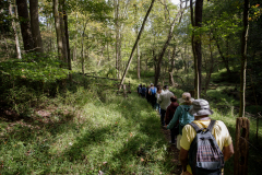 October 2, 2021: Senator Williams hosted a Nature Walk at the Latodami Nature Center in North Park for a conversation with the North Park Naturalists, and Allegheny County Park Rangers.