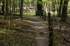 October 2, 2021: Senator Williams hosted a Nature Walk at the Latodami Nature Center in North Park for a conversation with the North Park Naturalists, and Allegheny County Park Rangers.