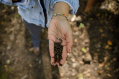 October 2, 2021: Senator Williams hosted a Nature Walk at the Latodami Nature Center in North Park for a conversation with the North Park Naturalists, and Allegheny County Park Rangers.