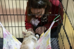 May 30, 2019: Senator Lindsey Williams hosts Pets for Vets Roundtable in Pittsburgh. The program pairs shelter animals with veterans -- both of which often have seen and unseen scars. The veteran saves the animal and welcomes them into a loving home. Pets for Vets is an incredible program that benefits both brave veterans and our furry friends.