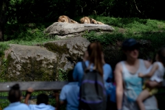 May 31, 2019: Senator Lindsey Williams visits the Pittsburgh Zoo and Aquarium.