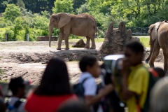 May 31, 2019: Senator Lindsey Williams visits the Pittsburgh Zoo and Aquarium.