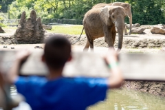 May 31, 2019: Senator Lindsey Williams visits the Pittsburgh Zoo and Aquarium.
