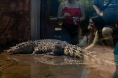 May 31, 2019: Senator Lindsey Williams visits the Pittsburgh Zoo and Aquarium.